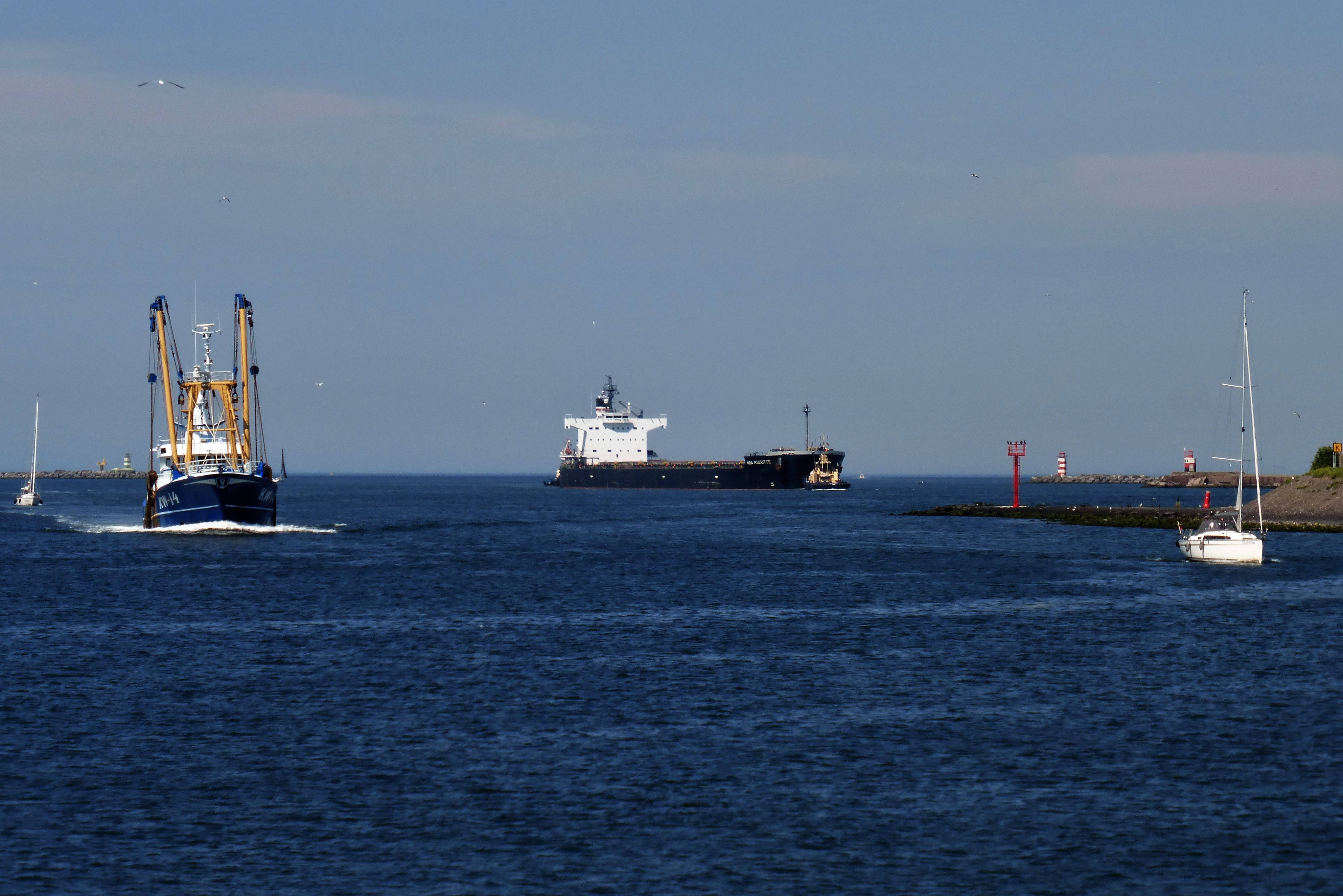 Pieren IJmuiden   26-06-20 